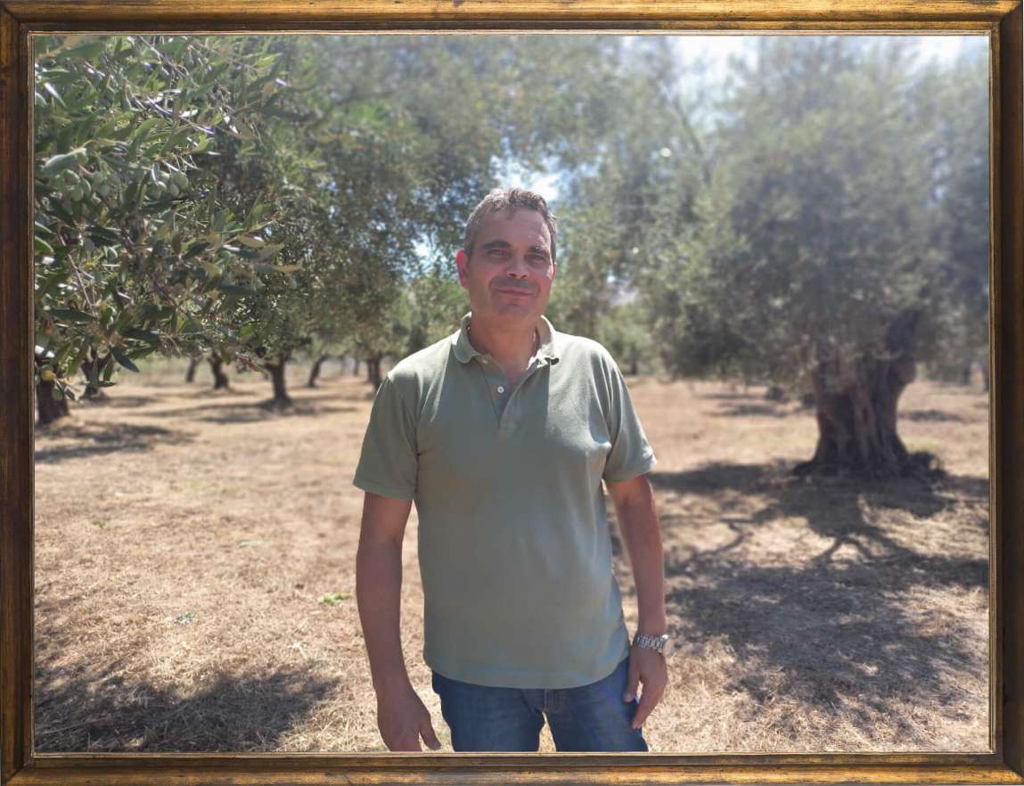 Lazaros Kalantzis founder of Astakos Olives in the olive groves