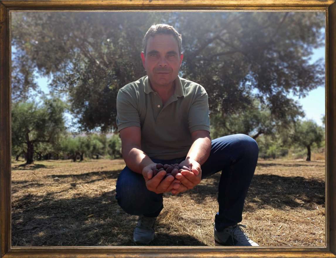 Lazaros Kalantzis founder of Astakos Olives in the olive groves